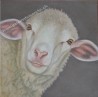Mouton, acrylique sur toile marouflé sur bois, 25 x 25 cm