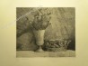 Palezieux Gérard de, Nature morte, eau-forte, 19,5 x 22,5 cm